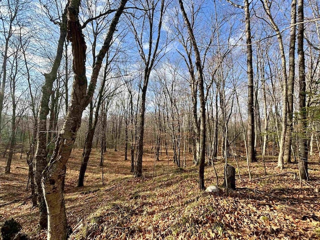 view of local wilderness