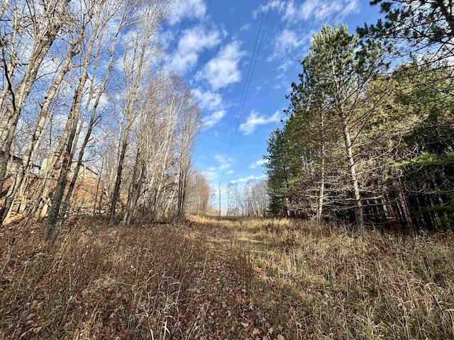 view of local wilderness