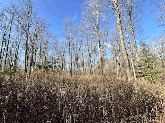 view of local wilderness