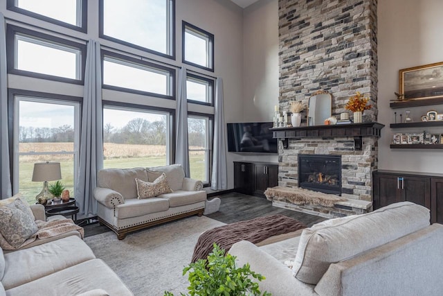 living room with a fireplace, wood-type flooring, and a high ceiling