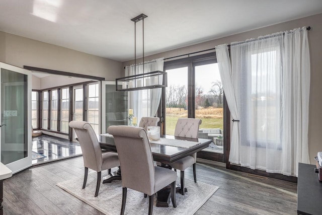 dining room featuring an inviting chandelier and hardwood / wood-style flooring