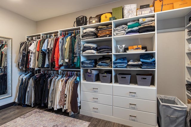 walk in closet featuring dark hardwood / wood-style floors