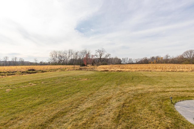 view of yard with a rural view