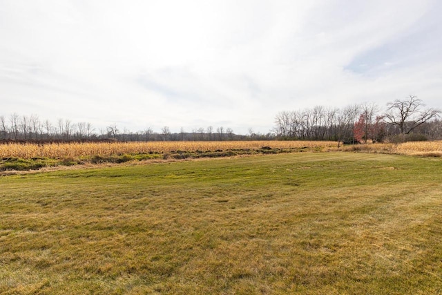 view of yard with a rural view