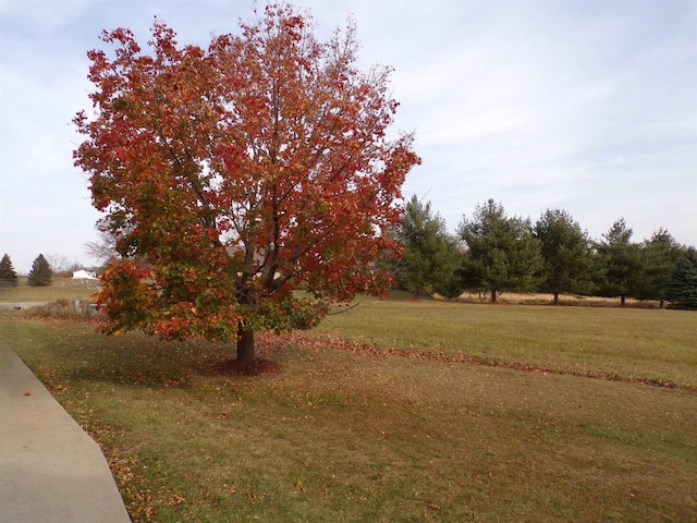 N4266 Cherokee Ct, Markesan, WI 53946 - view of grassy yard