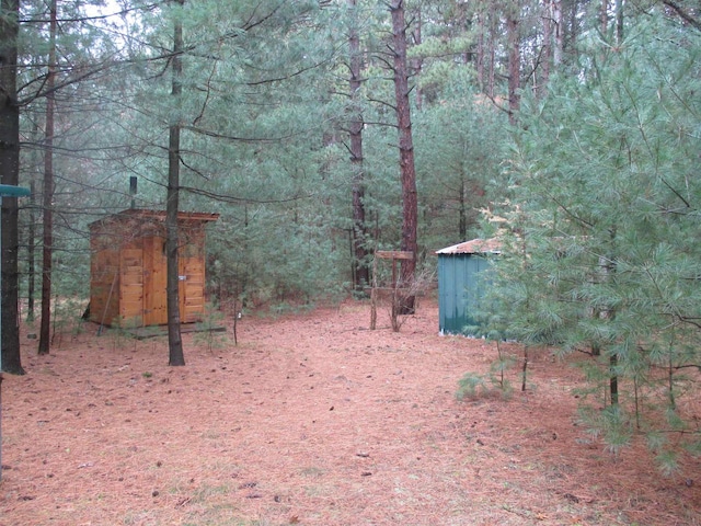 view of yard with a shed