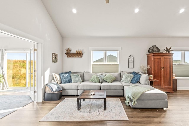 living room featuring lofted ceiling and hardwood / wood-style flooring