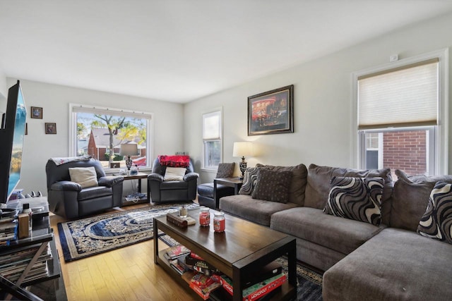 living room with wood-type flooring