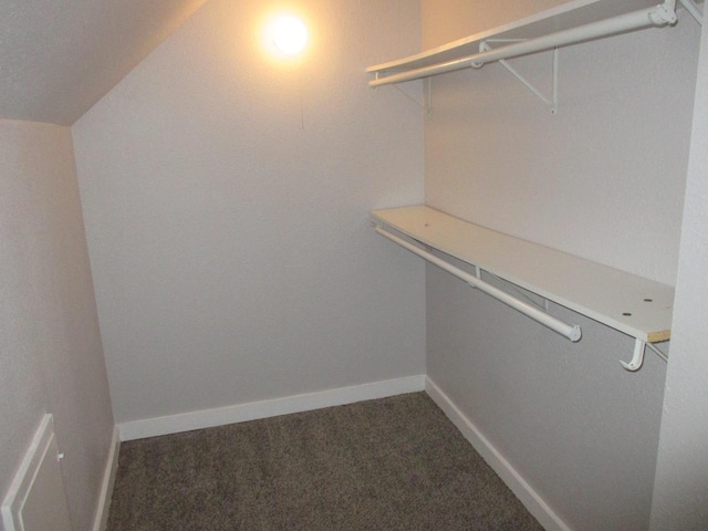 spacious closet with carpet flooring and vaulted ceiling