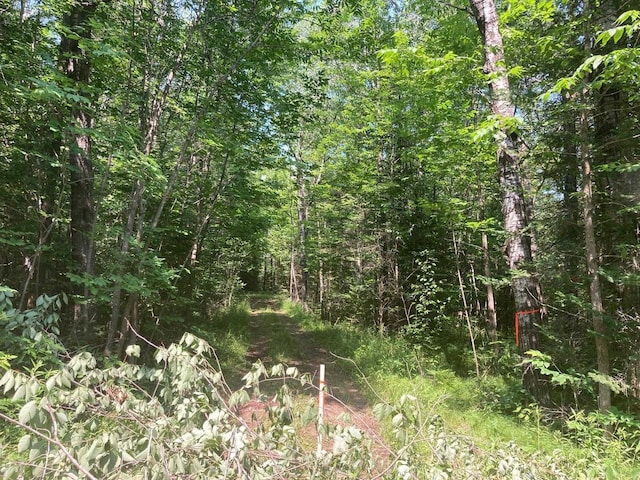 Right Of Way Rd, Crivitz WI, 54114 land for sale