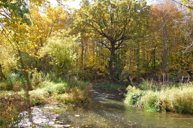 view of landscape