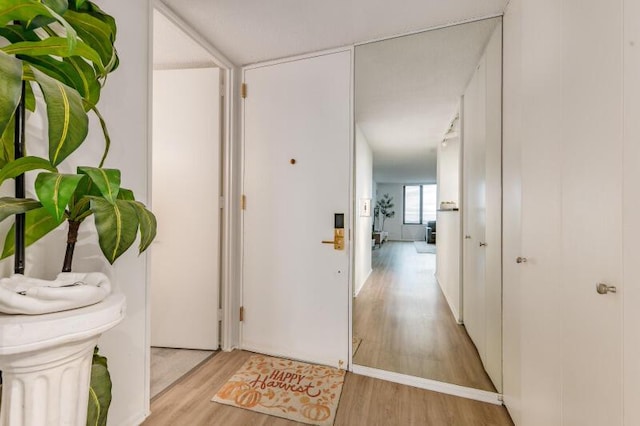 hallway with light hardwood / wood-style flooring