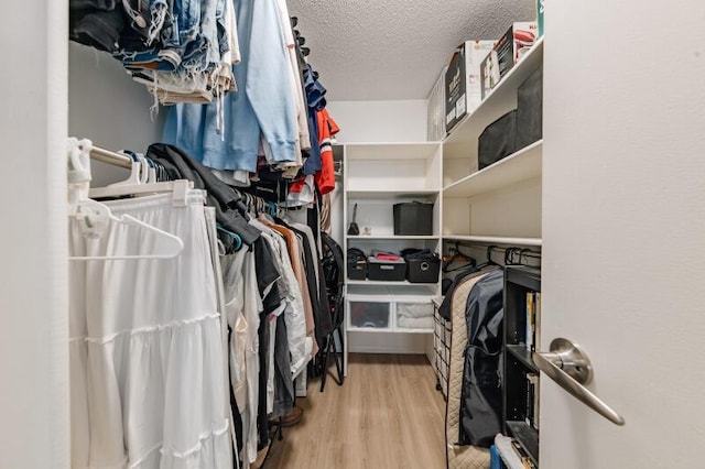 spacious closet featuring light hardwood / wood-style flooring