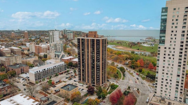 bird's eye view with a water view