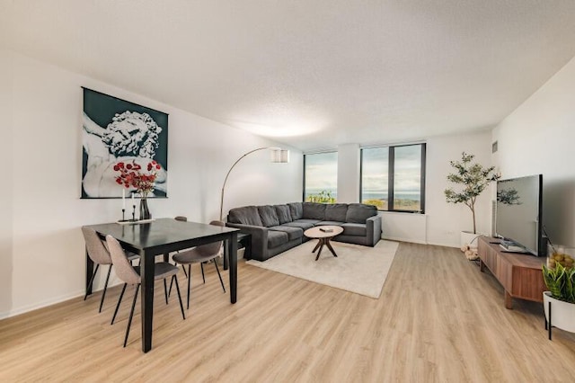 living room with a textured ceiling and light hardwood / wood-style flooring