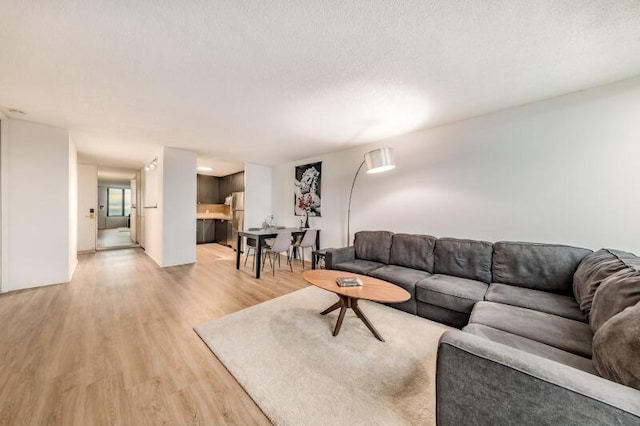 living room with light hardwood / wood-style floors and a textured ceiling