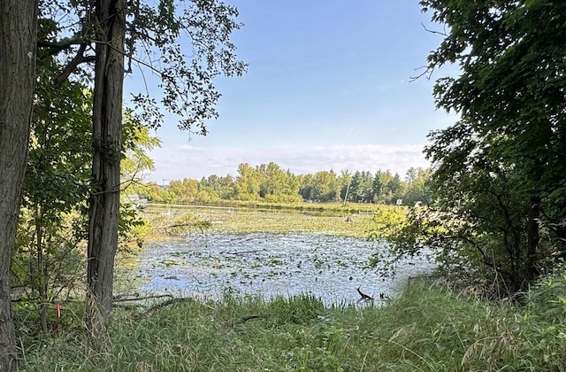 Water St, Iola WI, 54945 land for sale