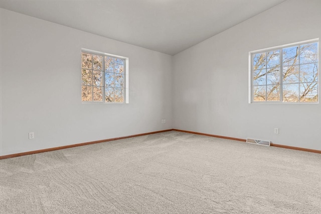 carpeted empty room featuring a wealth of natural light