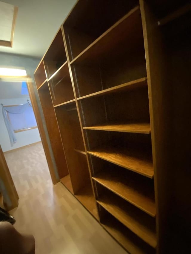 walk in closet featuring wood-type flooring