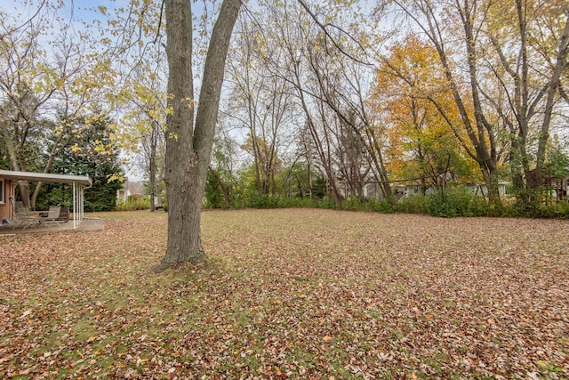 view of yard featuring a patio