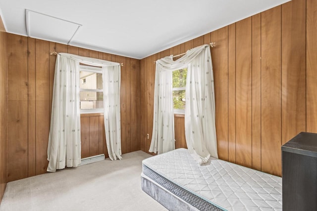 W11384 Bay Dr, Lodi, WI 53555 - bedroom featuring light colored carpet, wooden walls, and attic access