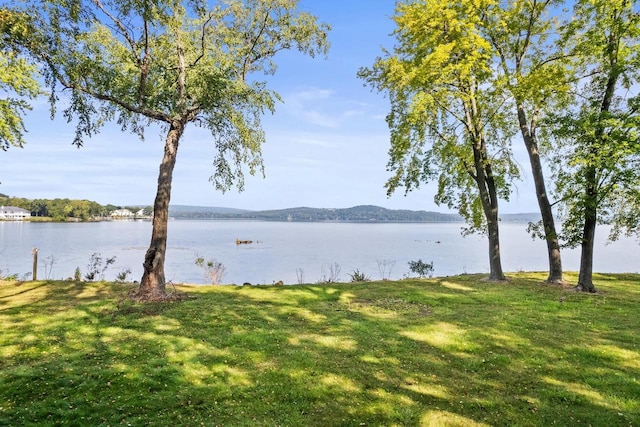 view of water feature featuring a mountain view