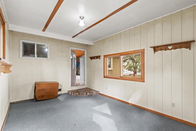 W11384 Bay Dr, Lodi, WI 53555 - spare room featuring carpet and baseboards