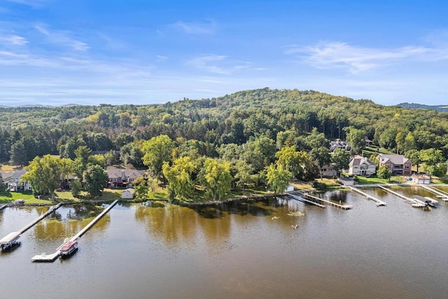 W11384 Bay Dr, Lodi, WI 53555 - bird's eye view of a forest and a large body of water