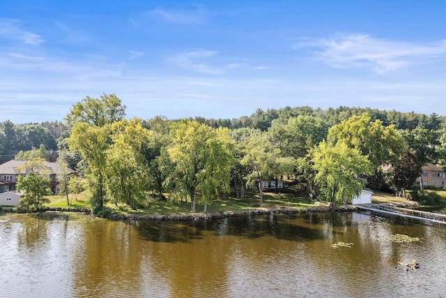 property view of water