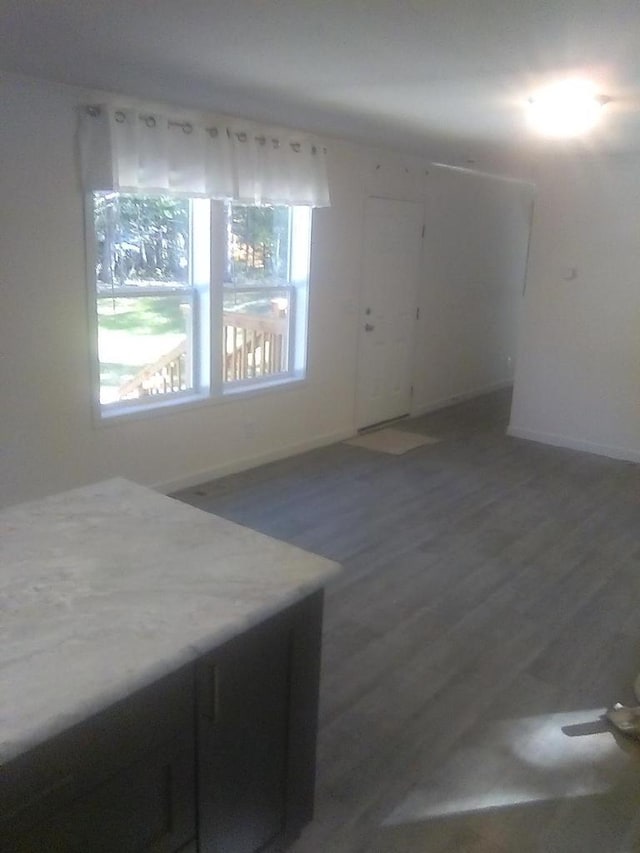 interior space with dark hardwood / wood-style flooring