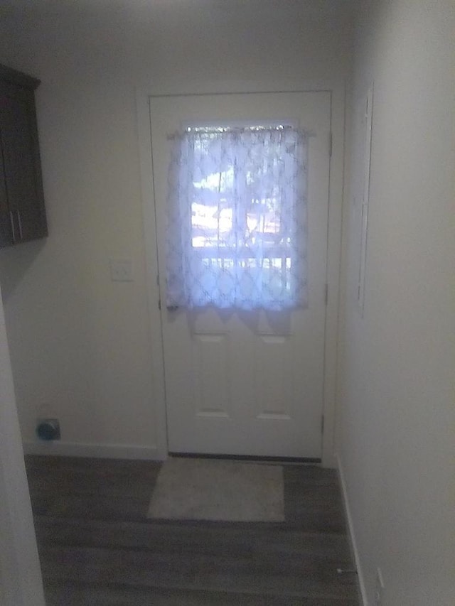 doorway to outside with dark hardwood / wood-style floors