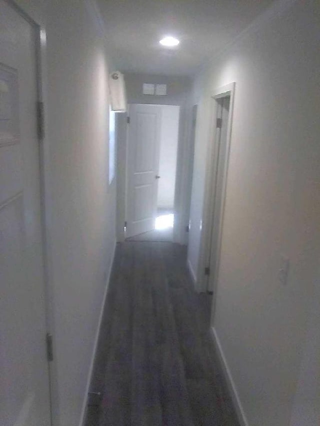 hallway with dark wood-type flooring