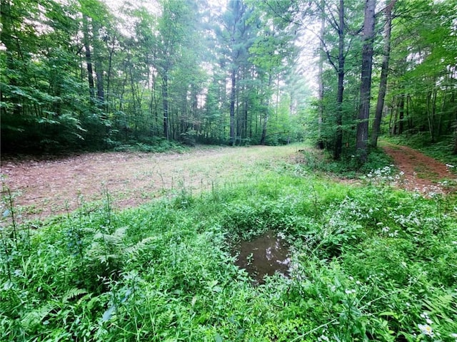 view of local wilderness