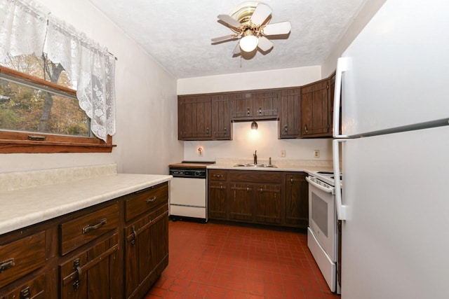 kitchen with dark brown cabinetry, sink, ceiling fan, a textured ceiling, and white appliances