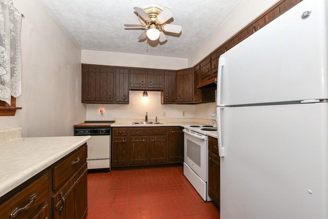 kitchen featuring a textured ceiling, dark brown cabinets, sink, white appliances, and ceiling fan