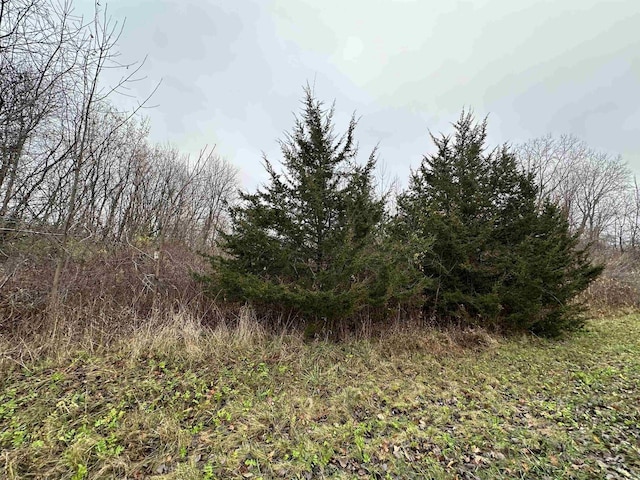 Listing photo 2 for 52/-ACRES Lake Rd, Ripon WI 54971