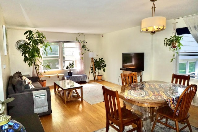 dining space with hardwood / wood-style flooring