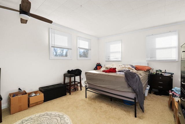 318 Mandt Pkwy, Stoughton, WI 53589 - carpeted bedroom with ornamental molding