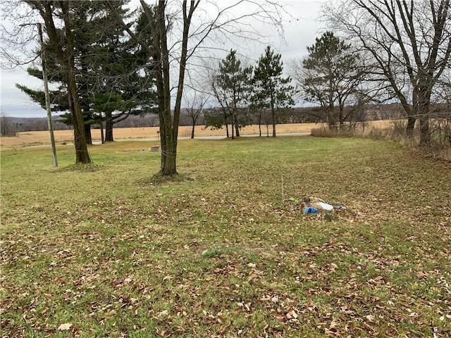 view of yard with a rural view