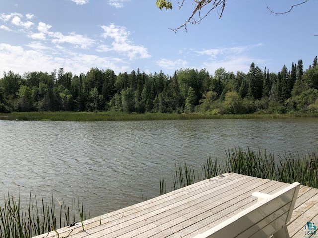 view of dock featuring a water view