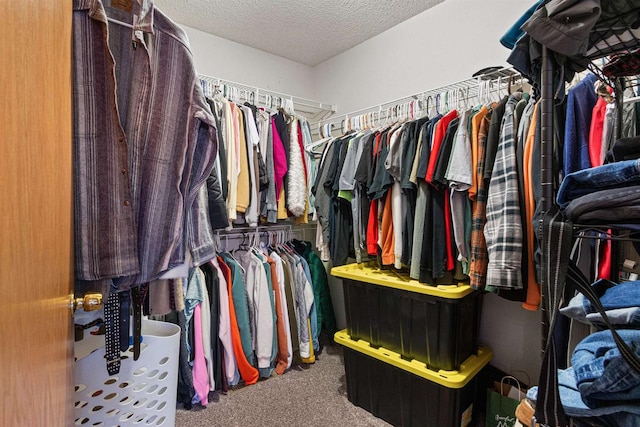 walk in closet featuring carpet floors