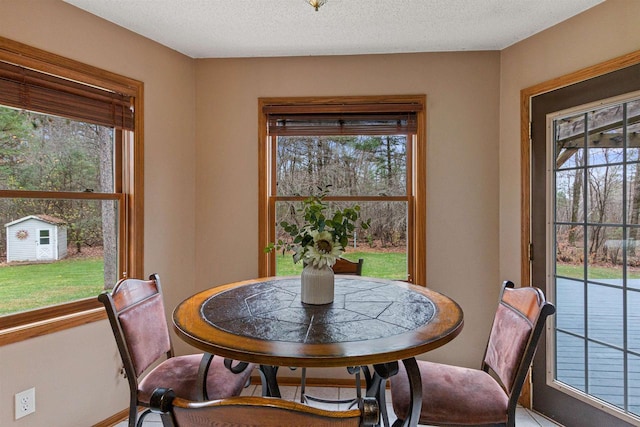 dining area with a wealth of natural light and a textured ceiling