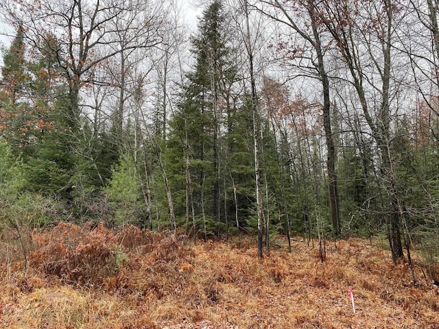 Moen Lake Dr, Rhinelander WI, 54501 land for sale