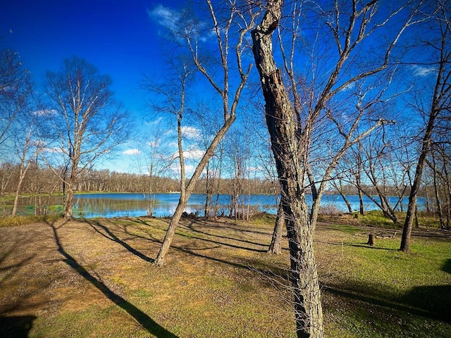 view of yard featuring a water view