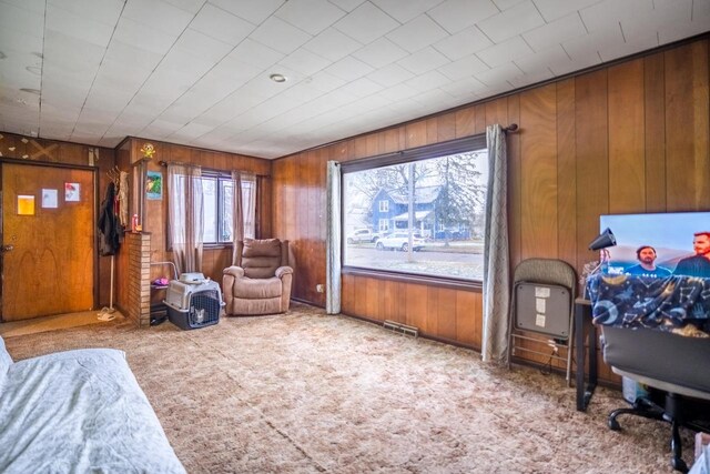 home theater room featuring wooden walls and light colored carpet