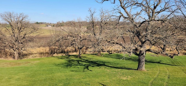 view of property's community with a yard