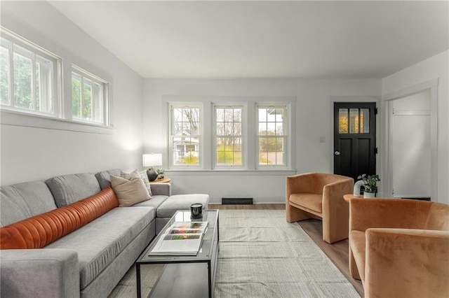 living room featuring light hardwood / wood-style floors