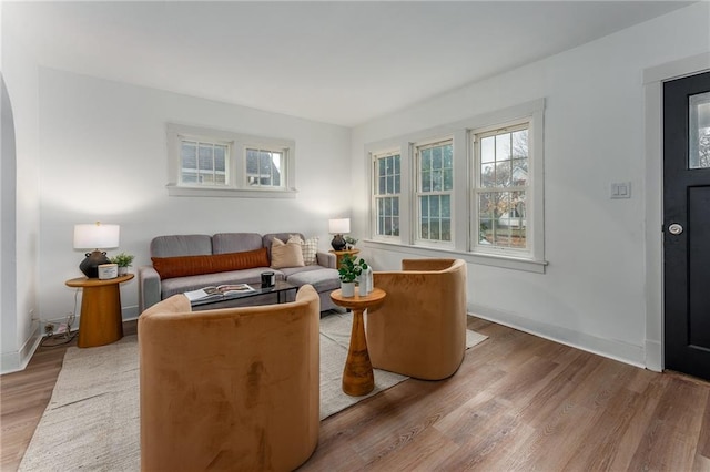 living room with hardwood / wood-style floors