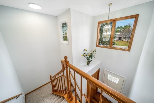 stairway with a wealth of natural light and carpet