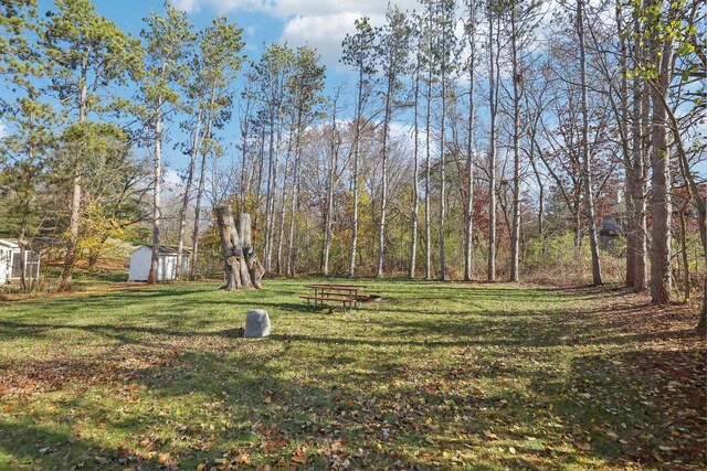 view of yard with a storage unit